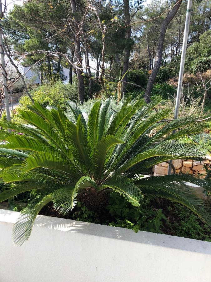 Babo Apartments Hvar Town Exterior foto